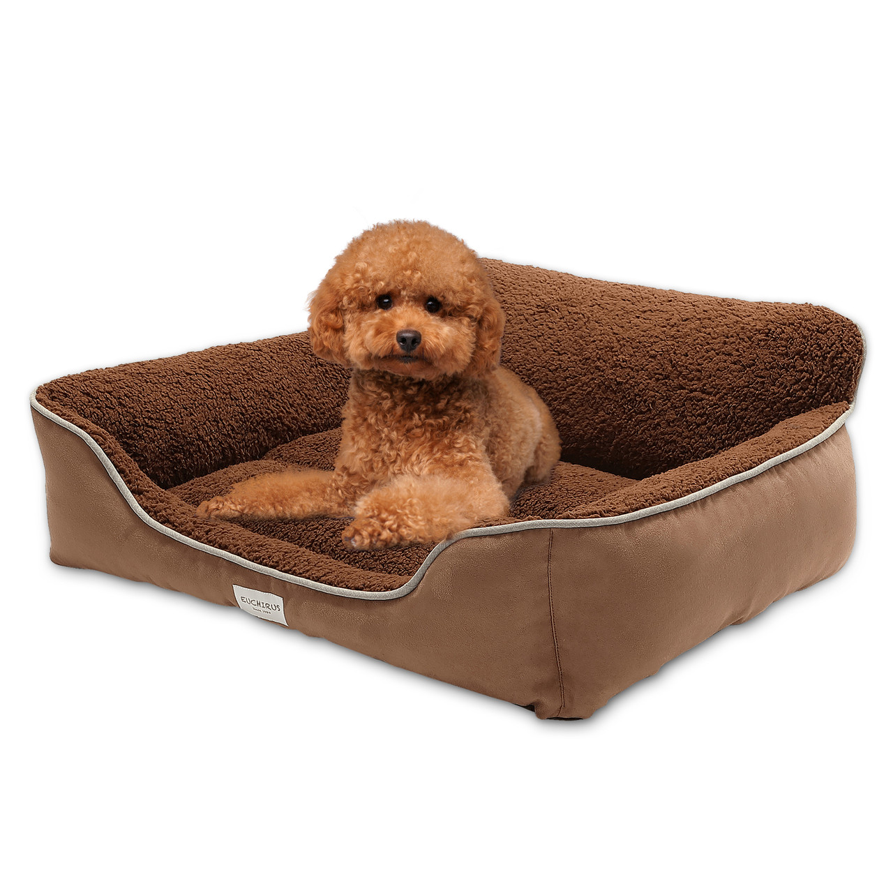 Comfortable beds clearance for dogs