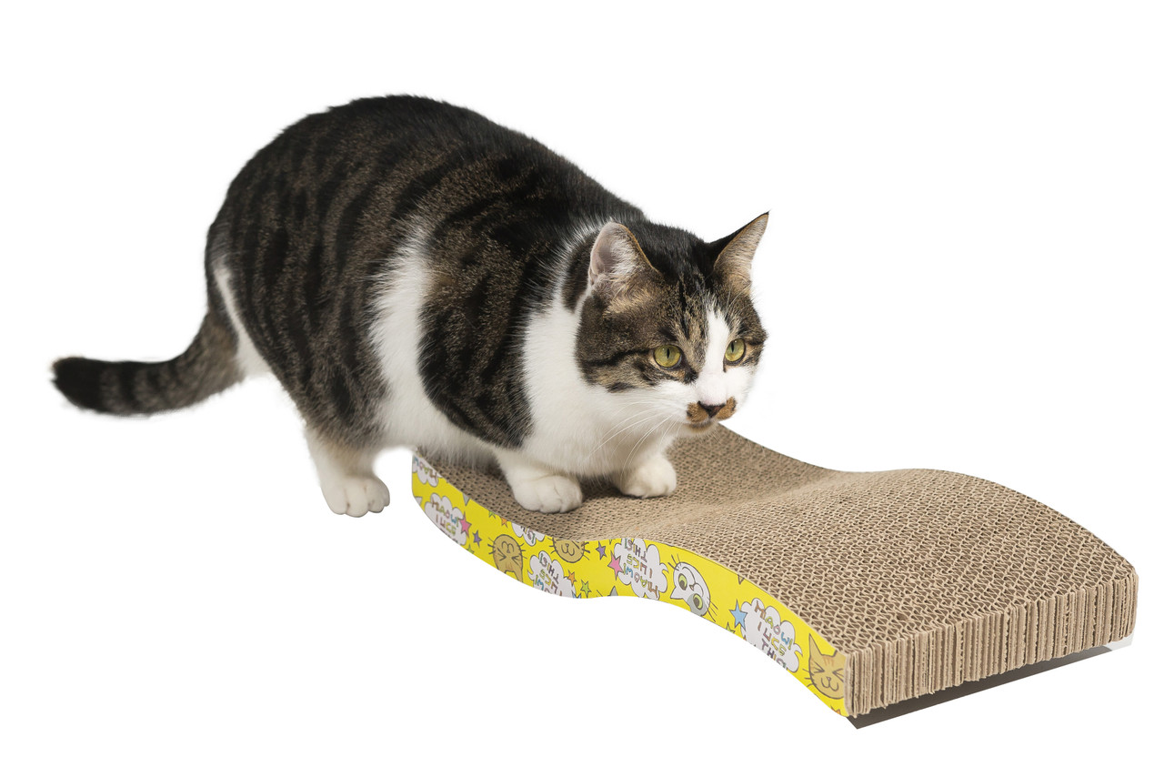 cat scratch pad