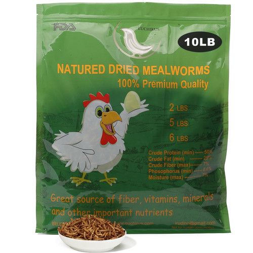 Euchirus 10 LB Non-GMO Dried Mealworms for Wild Bird Chicken Fish,High-Protein,Large Meal Worms.