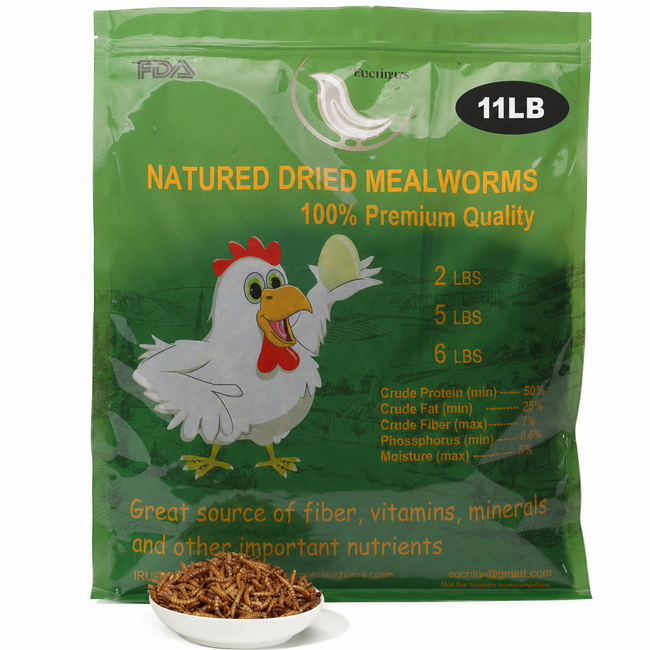 Euchirus 11 LB Dried Mealworms