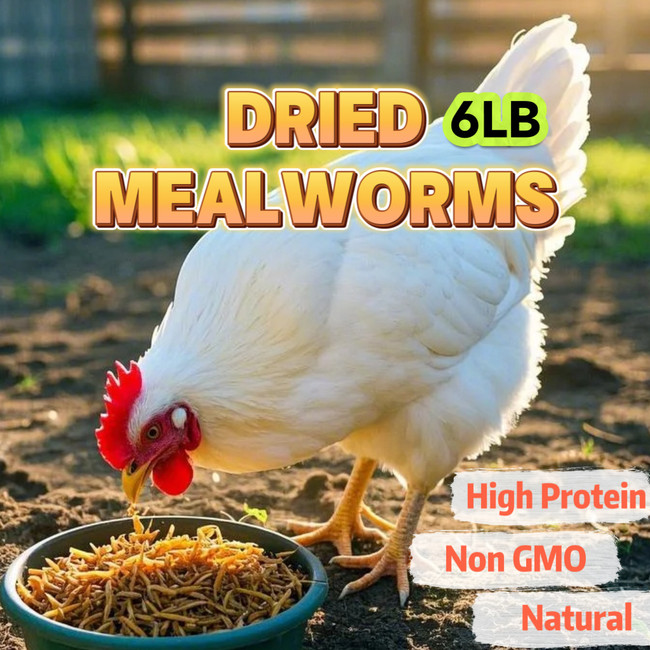 Euchirus 6LB Dried Mealworms Euchirus 6LB Dried Mealworms
