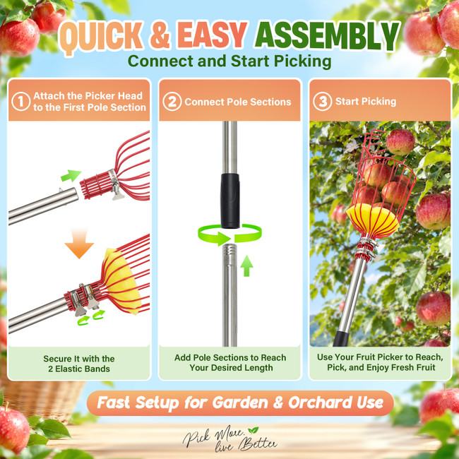 Extendable Fruit Picker with Basket, Adjustable 6–13 FT Pole, Foam Cushion for Apples, Pears and Citrus