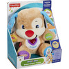 Fisher Price Laugh and Learn Puppy