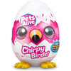 Pets Alive Chirpy Birds (Styles Vary)