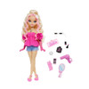 Barbie Dream Besties Barbie Malibu Fashion Doll With Accessories