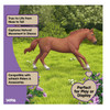 Schleich Horse Club Engl Thoroughbread Stallion