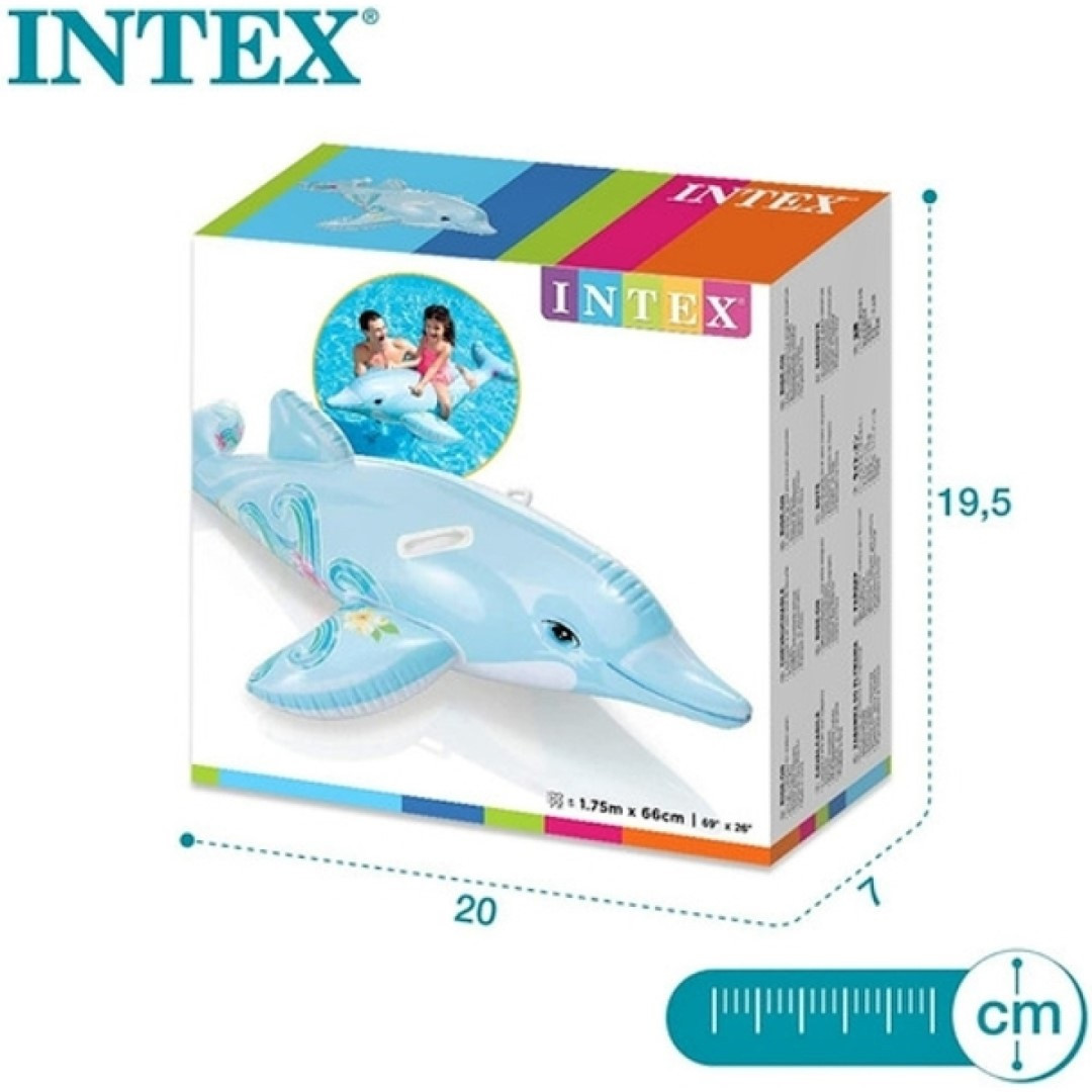 INTEX 69