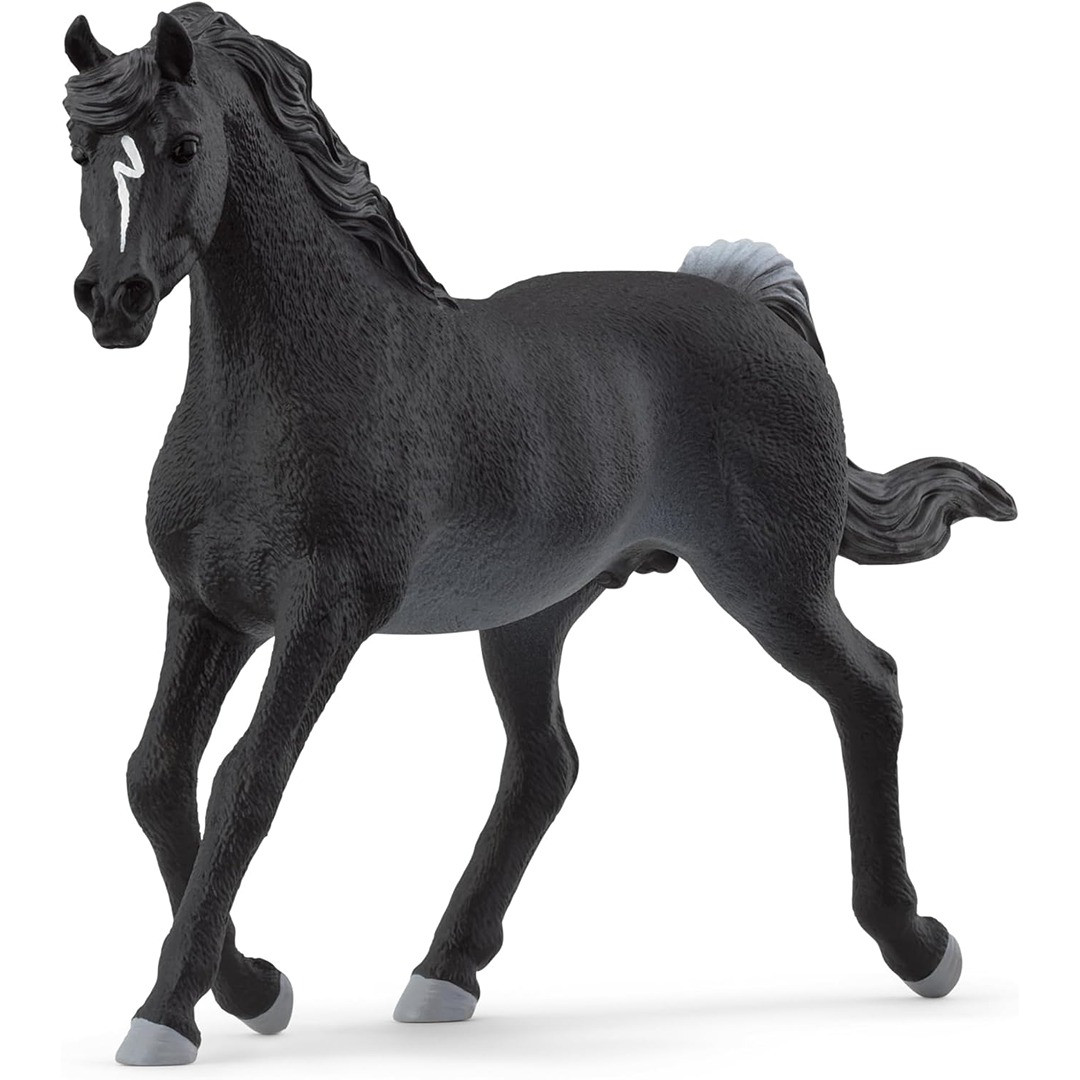 SCHLEICH 14625 Wild Life Waschbär Figur – Detailgetreu, Ca. 11,2x3,5 Cm, Für Kinder Ab 3 Jahren
