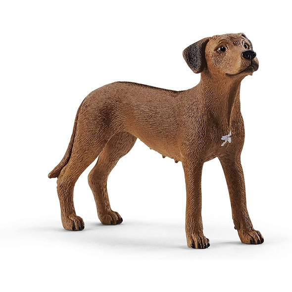 Schleich 13895 Farm World Rhodesian Ridgeback