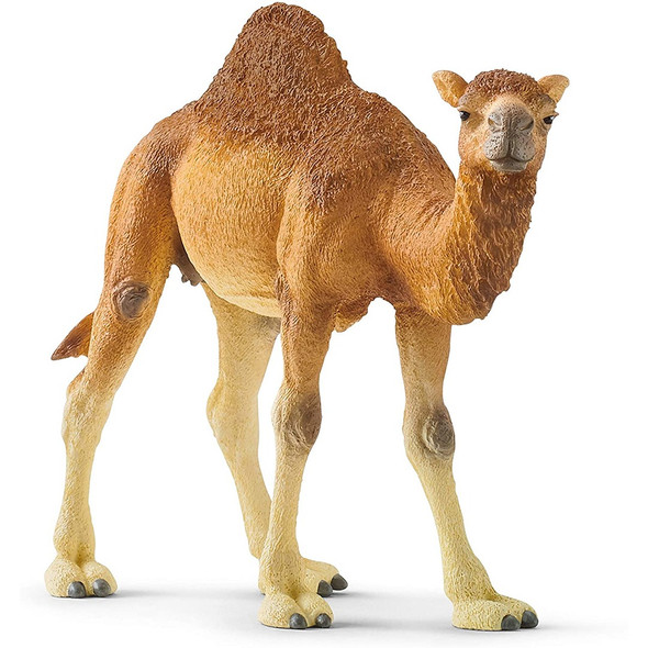 Schleich 14832 Wildlife Dromedary