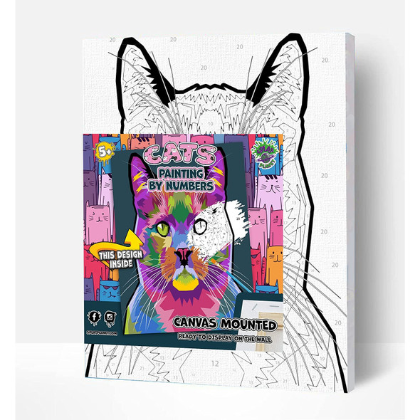 Splat Planet Cat Paint By Numbers Art Kit