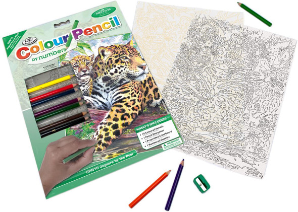 Colour Pencil by Number Kit - Jaguar By Pool