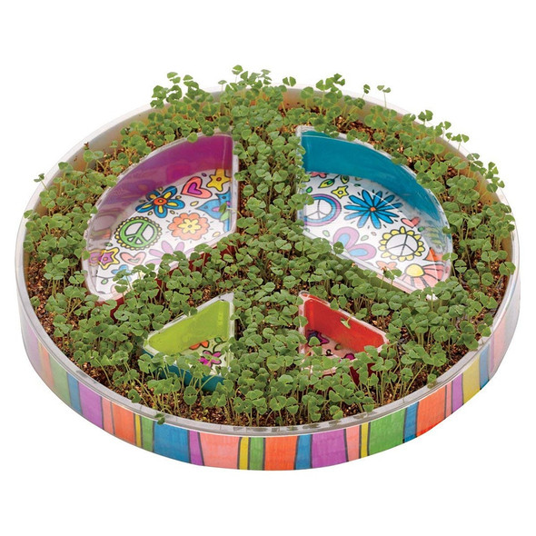 Creativity for Kids 6105 Plant Peace Grow Kit