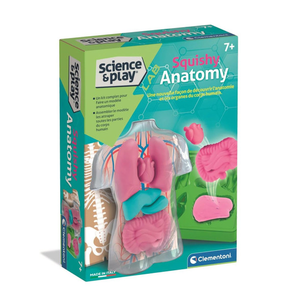 Clemontoni Squishy Anatomy Activity Set