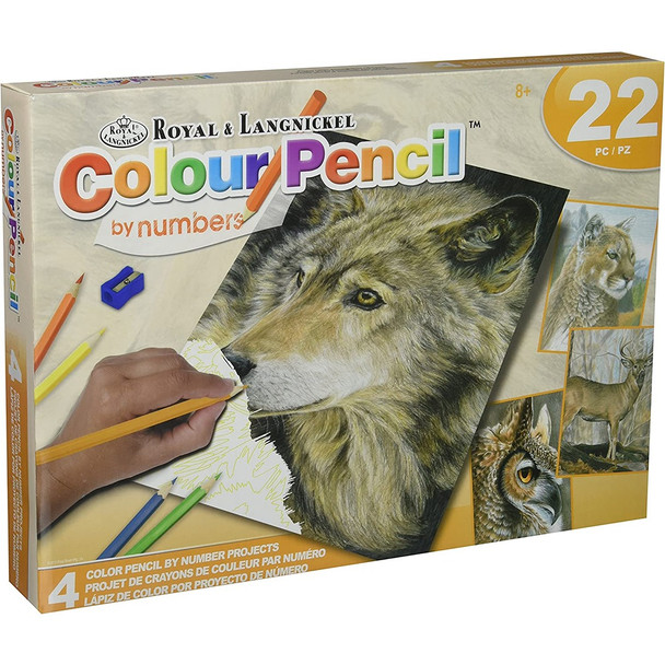 Colour Pencil By Numbers Wild Life Box Set 4 Piece