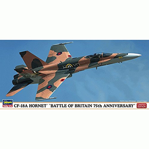 Hasegawa Ha2181 1:72 Scale 