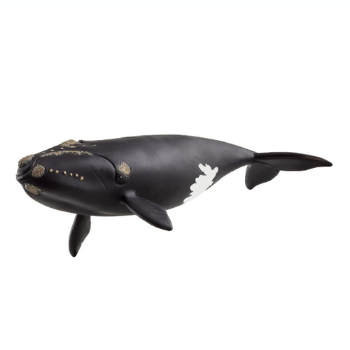 Schleich North Atlantic Right Whale main image 1