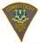 W.F.I. Agency Police Patch (CT)
