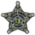 Sheriff: Citrus County Deputy Sheriff Police Patch (badge patch) (FL)
