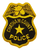 Chatham County Police Patch (GA)