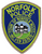 Norfolk Police Patch (tan edge) (MA)