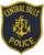Central Falls Police Patch (RI)