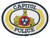 Capitol Police Patch (TN)