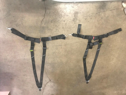 Schroth Racing Safety Harness, Driver and Passenger Side