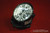 Porsche 987 Boxster 2nd Gen LEFT Driver Additional Head Lamp 98763104501