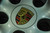 Porsche 911 996 My02 Carrera Wheel Rim Front 8x18 ET50 996.362.136.03 OEM
