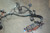 Porsche 911 991.2 Turbo S Wiring Harness Assembly w/o Center Console Harness 