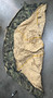 INCOMPLETE USMC Diamond Brand Marine Combat Tent w/ Woodland Cover USED