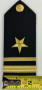 USGI US Navy Line Lieutenant Junior Grade Hard Shoulder Board, USN Set EUC