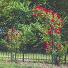 Metal Garden Arbor Arch