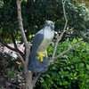 Vencier Large Realistic Falcon Decoy Bird Deterrent - Lifelike Full-Bodied Bird of Prey Pest Control - Garden Statue Cat and Bird Repeller - Garden Pond Decoration