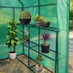 Walk In PE Greenhouse With Shelves