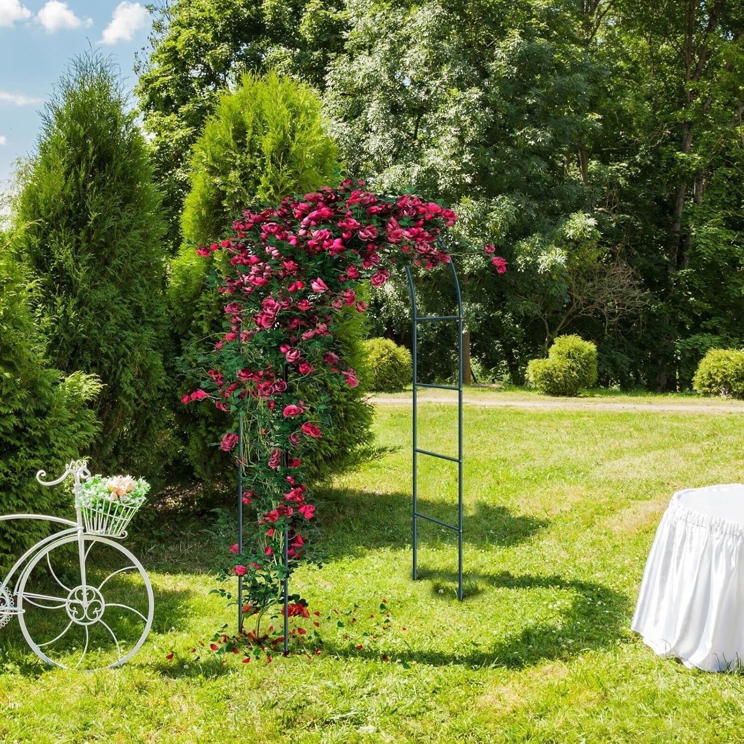 Garden & Patio