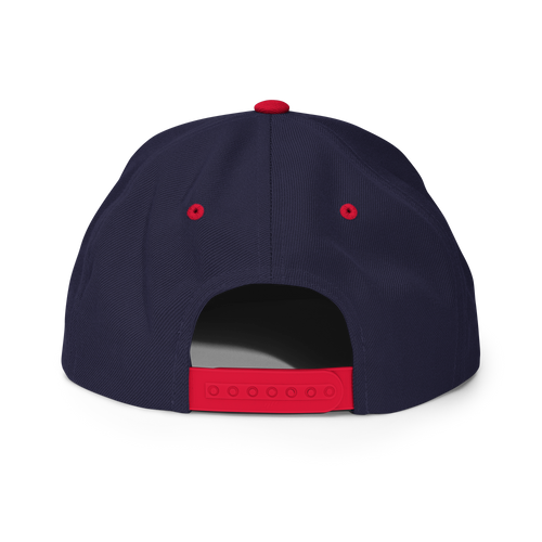 Titan - MERICA' - Snapback Hat