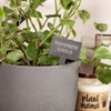 Plant Tags Slate Plant Makers Stakes Baum Designs