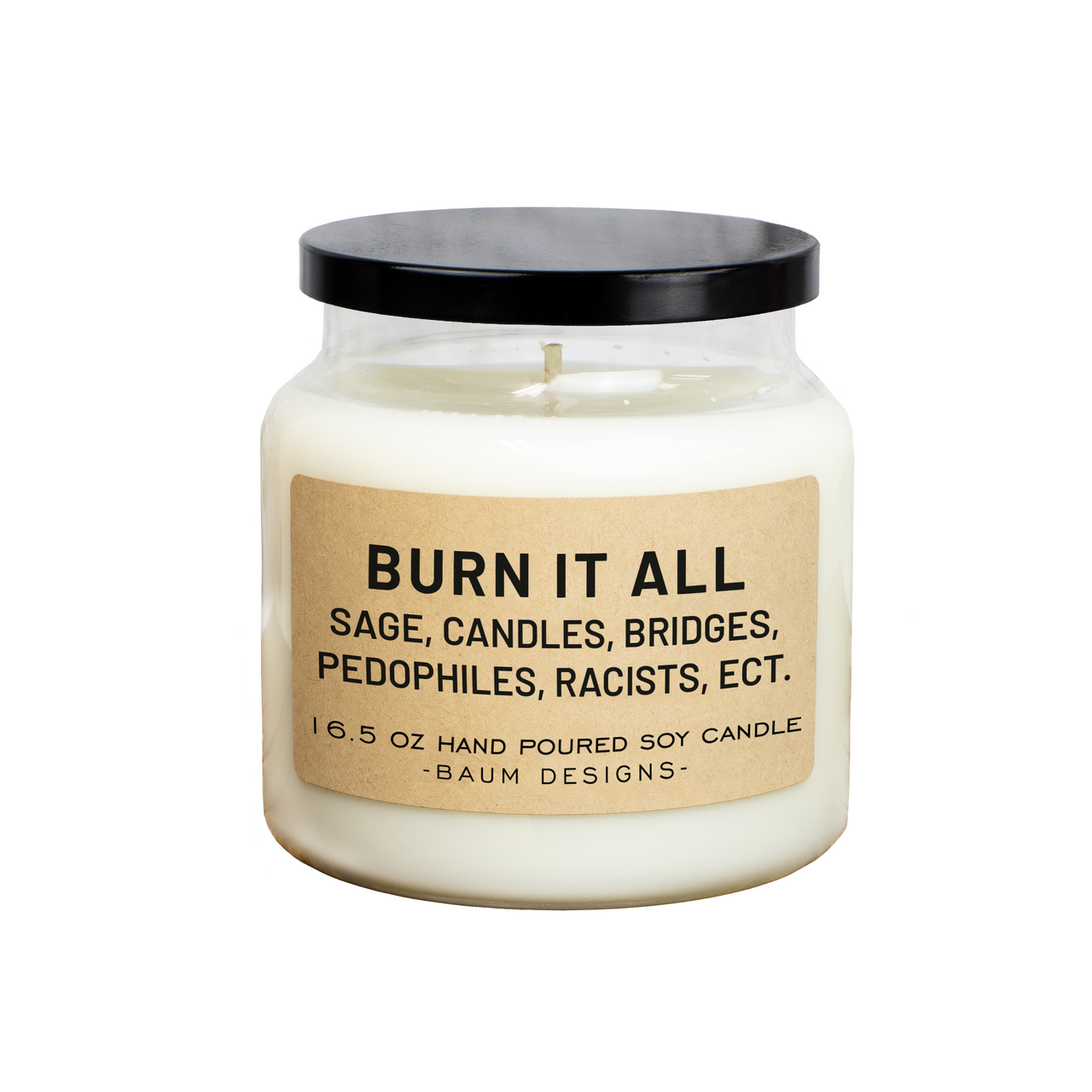 Burn It All: Sage, Candles, Bridges, Pedophiles, Racists, Ect Soy Candle