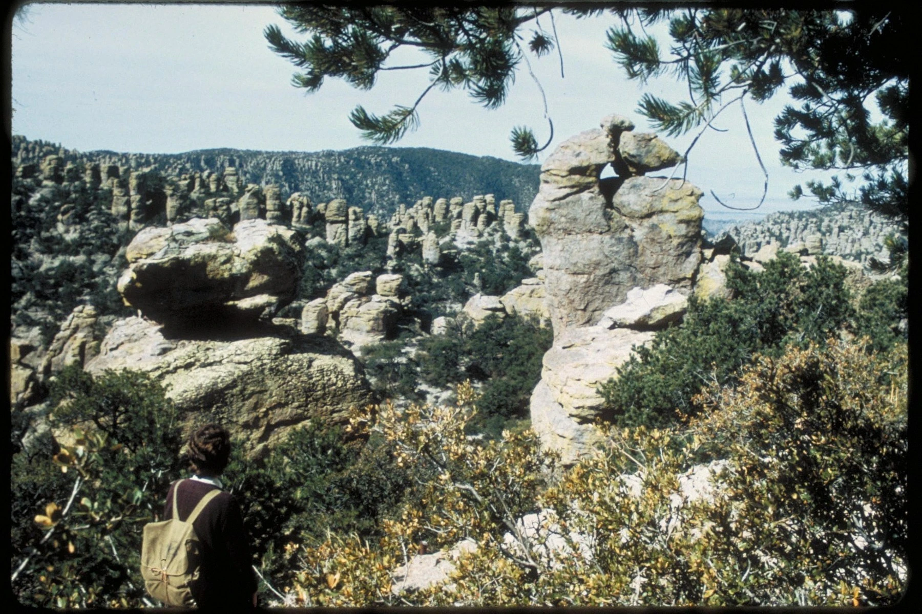 Rock pinnacles and balancing rocks at Chiricahua National Park in Arizona