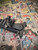 SR-15 Mod2 14.5" Carbine URG With 13.5" URX3.1 Conversion