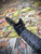 Ballistic Knife