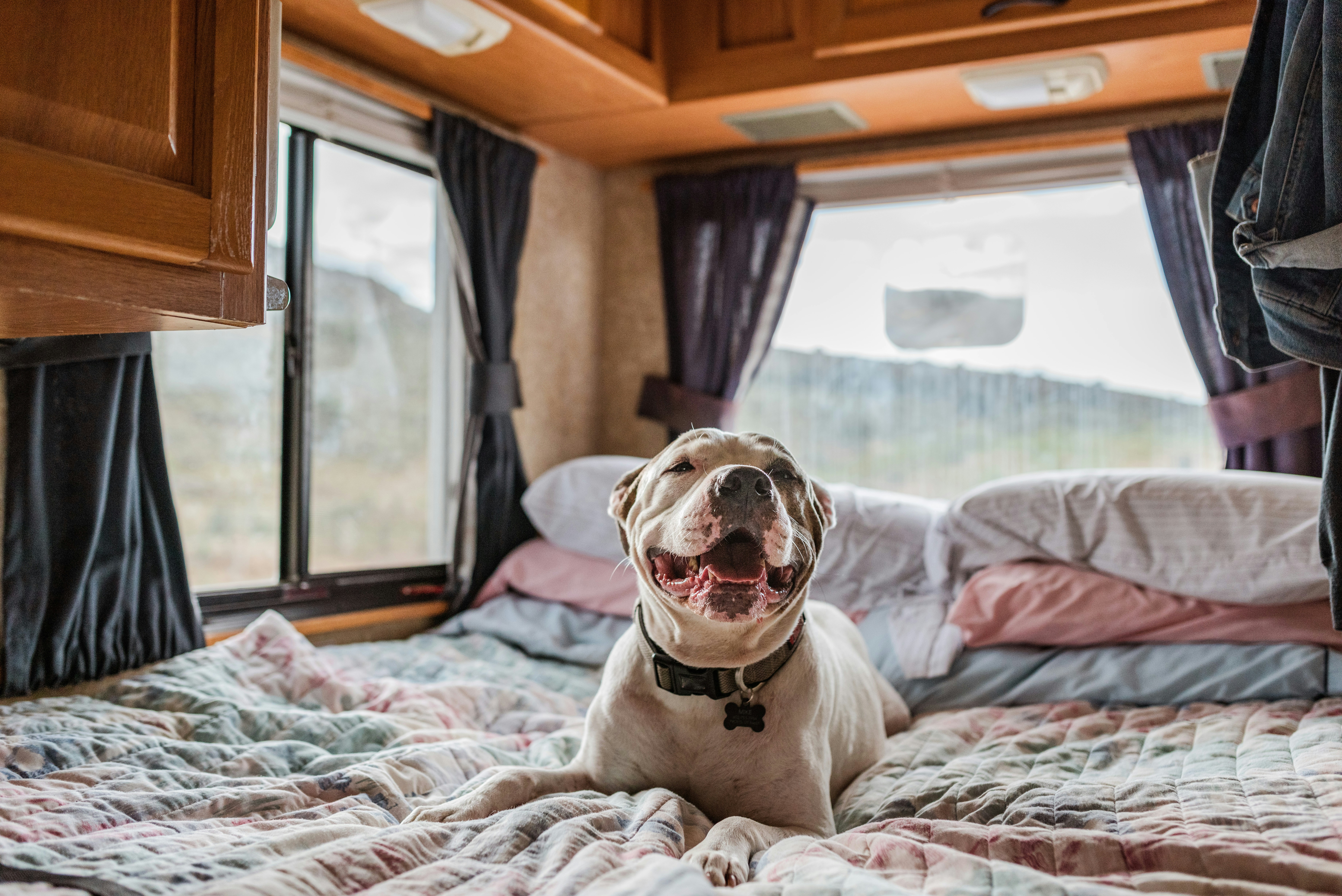 Complete Guide to Choosing a Caravan Mattress
