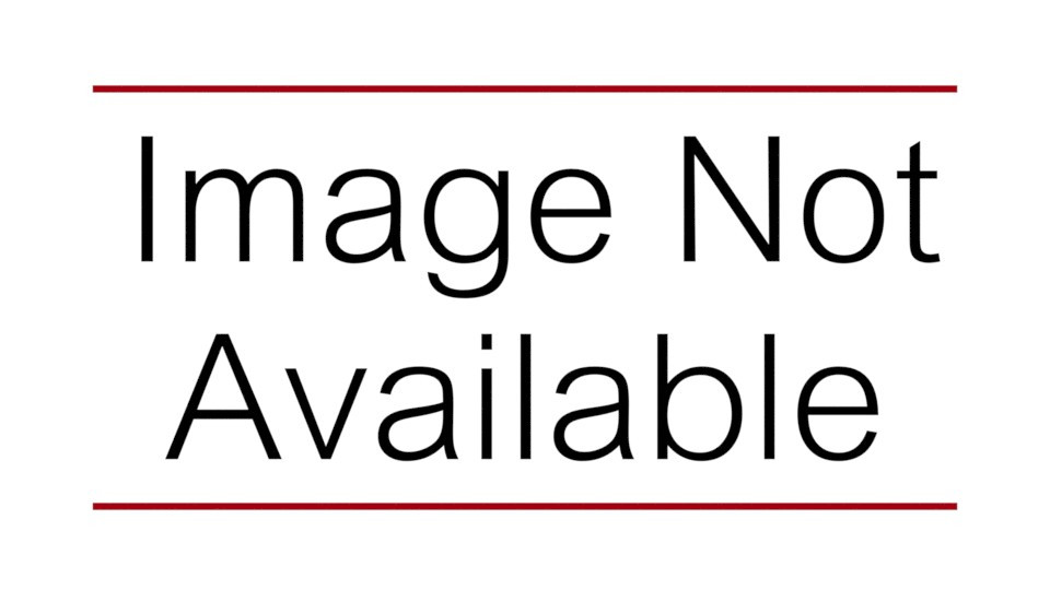 BREQS125 Eaton Hold Down Screw for 2 Pole BR brkr in 125A MLO Ldcntr