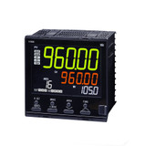 FZ900FK01-MM3*1NNNN1/N | RKC