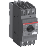MS165-42B ABB Manual Motor Starter (30-42A)