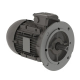 .1818EP3EALR63FF-W22 | Weg Motor 0.25Hp 4P 63 Waf1