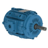 00118ET3EPM143/5Y-W2 | Weg Motor 1Hp 4P 145Yz Wff2