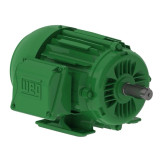 00136EG3E143T-W22 | Weg Motor 1Hp 2P 143/5T Wff2